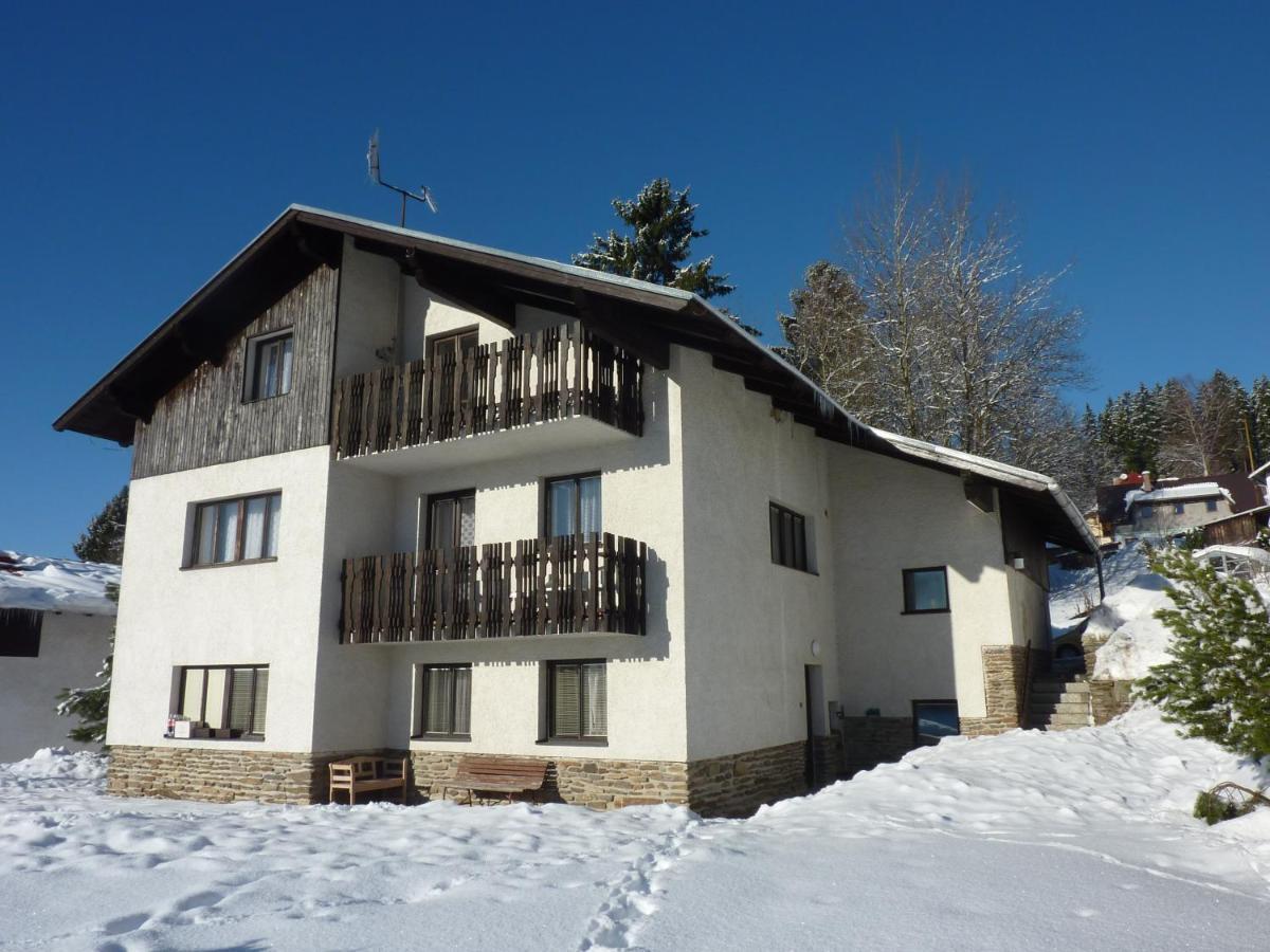 Apartmany U Ady Zelezna Ruda Bagian luar foto